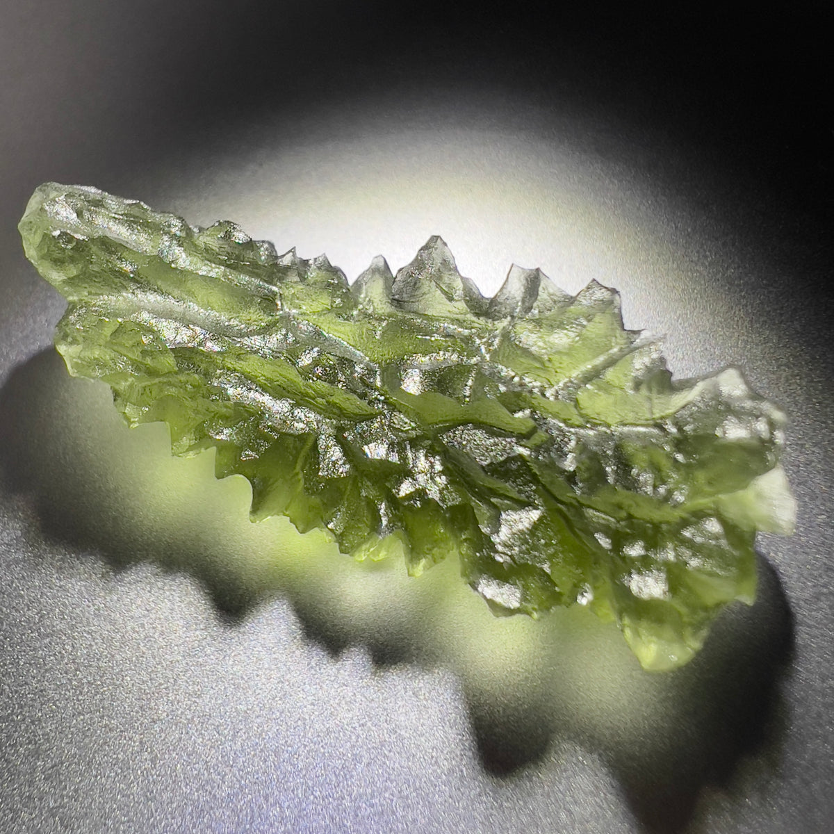 Hedgehog Moldavite | 5.69g | Besednice Jezkovna