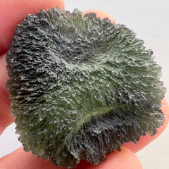 Magnificent Moldavite Disk from Nesmen Les — 22.95g