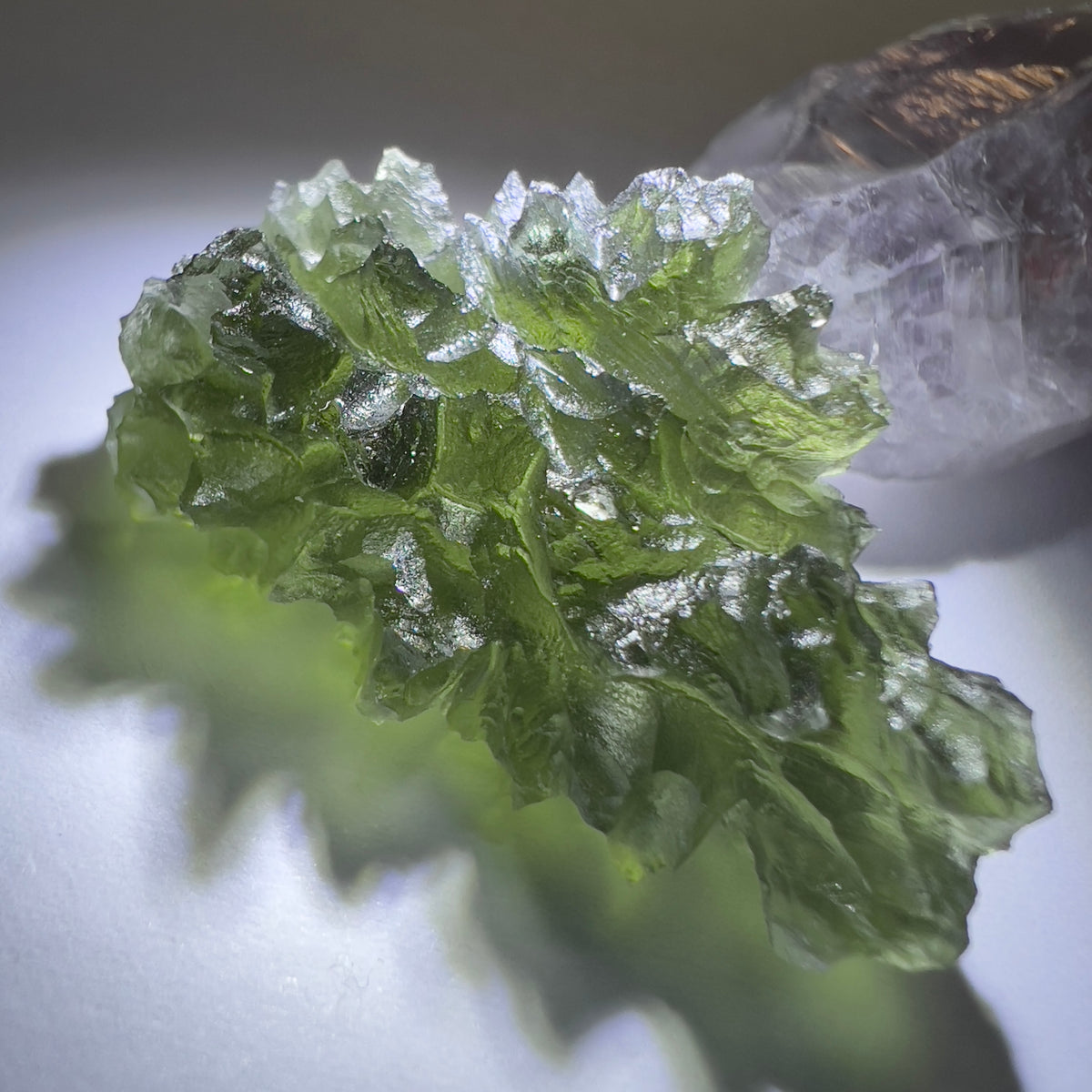 9.26g Besednice Hedgehog Moldavite