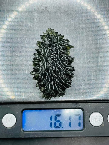 True Hedgehog | 16.16g | Besednice Jezkovna