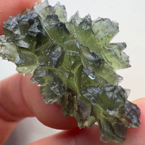9.26g Besednice Hedgehog Moldavite