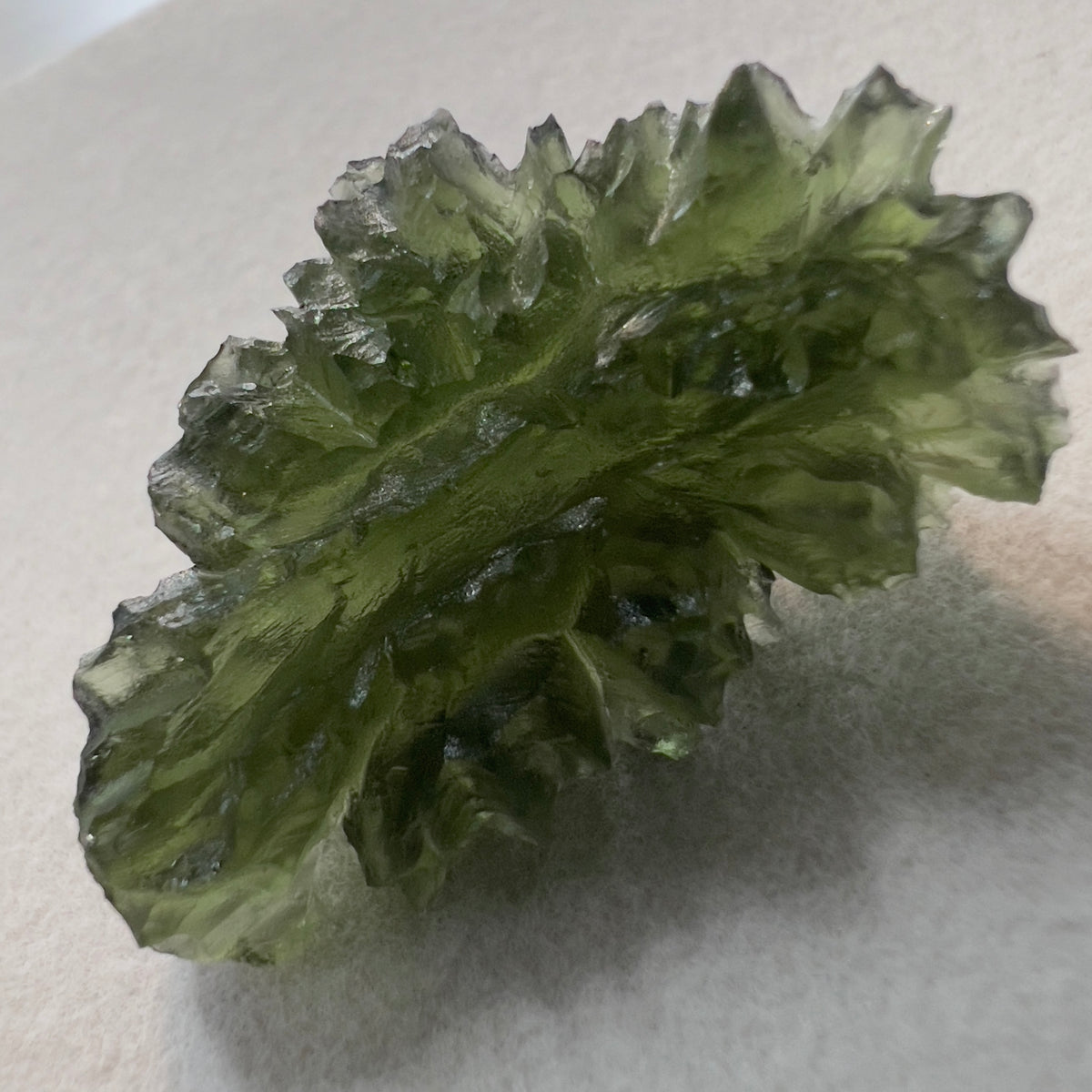 Hedgehog Moldavite | 9.26g | Besednice Ježkovna
