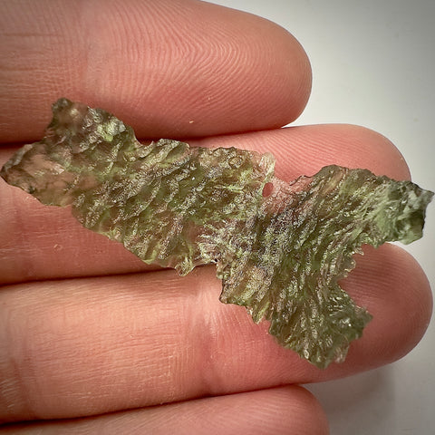 True Angel Chime Hedgehog | 2.96g | Besednice Jezkovna