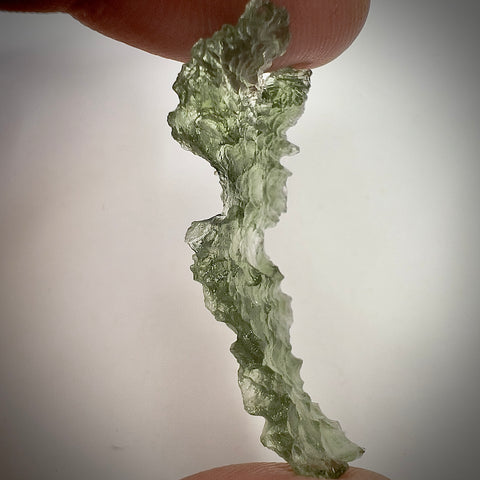 True Angel Chime Hedgehog | 2.96g | Besednice Jezkovna