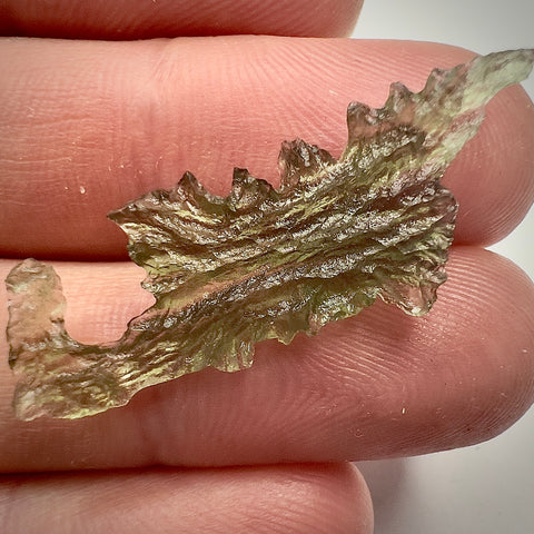 True Angel Chime Hedgehog | 1.21g | Besednice Jezkovna