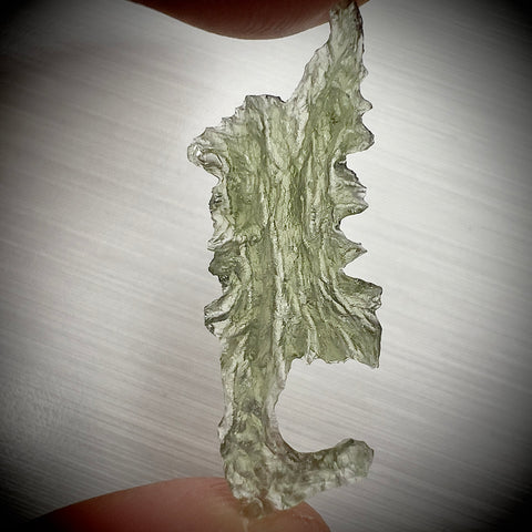 True Angel Chime Hedgehog | 1.21g | Besednice Jezkovna