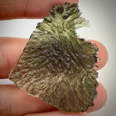 True Angel Chime Hedgehog | 6.87g | Besednice Jezkovna