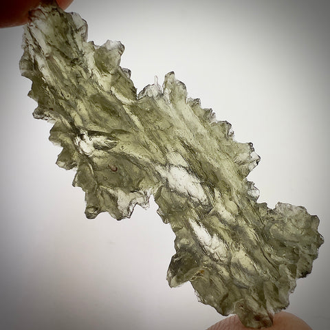 True Angel Chime Hedgehog | 5.07g | Besednice Jezkovna