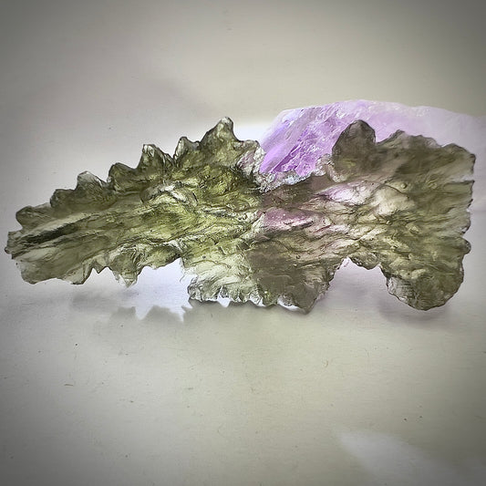 True Angel Chime Hedgehog | 5.07g | Besednice Jezkovna