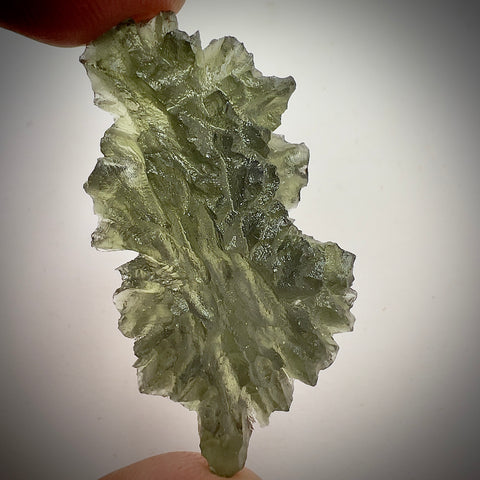 True Hedgehog | 8.98g | Besednice Jezkovna