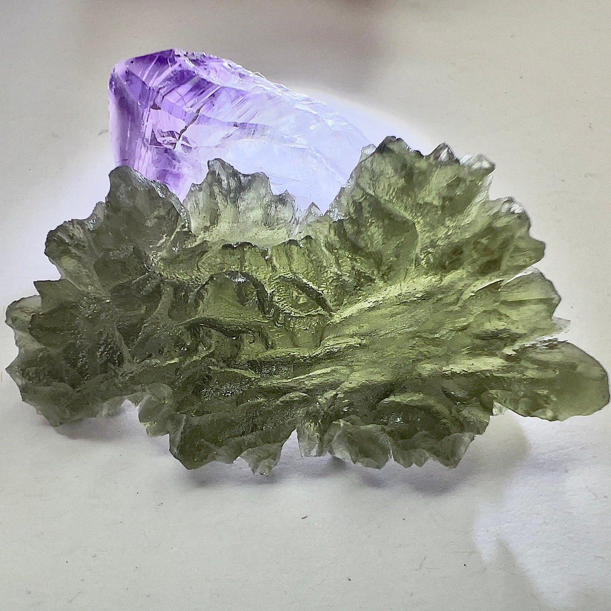 True Hedgehog | 8.98g | Besednice Jezkovna