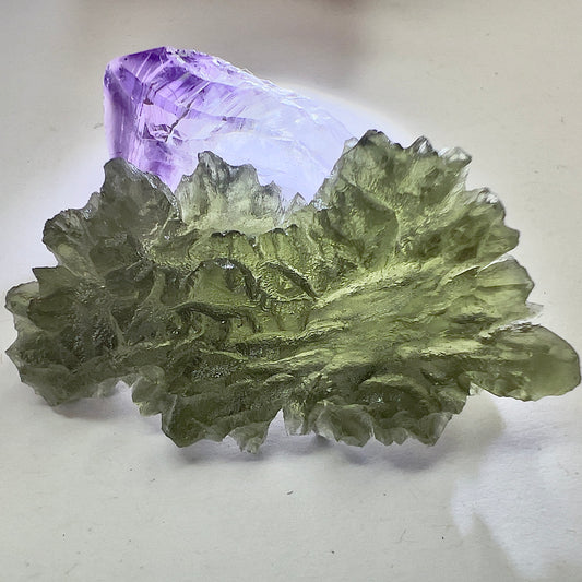 True Besednice Hedgehog | 8.98g | Besednice Ježkovna