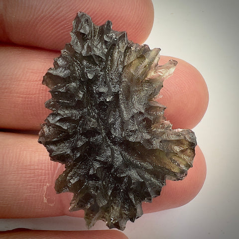 True Hedgehog | 7.82g | Besednice Jezkovna
