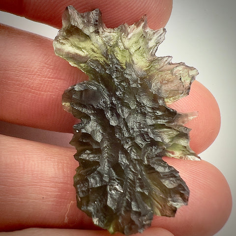 True Hedgehog | 5.34g | Besednice Jezkovna