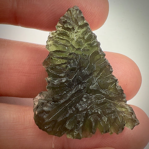 True Besednice Hedgehog | 8.36g | Besednice Ježkovna