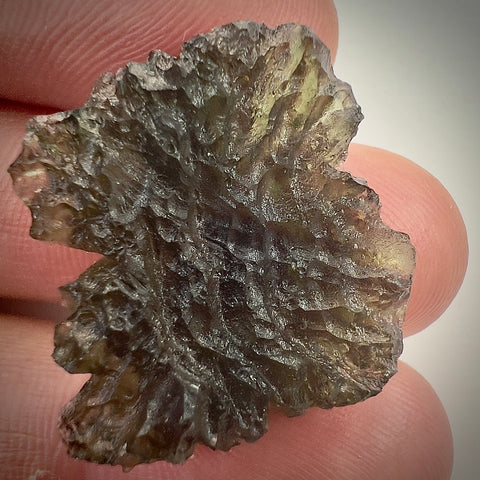 True Besednice Hedgehog | 5.68g | Besednice Ježkovna