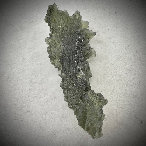 True Besednice Hedgehog | 6.36g | Besednice Ježkovna