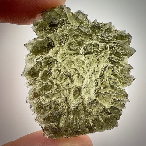 True Besednice Hedgehog | 8.69g | Besednice Ježkovna