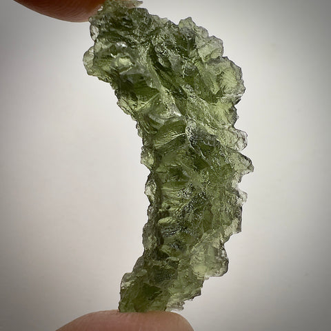 True Besednice Hedgehog | 5.77g | Besednice Ježkovna