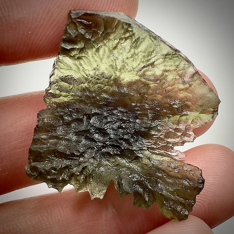 True Besednice Hedgehog | 6.98g | Besednice Ježkovna