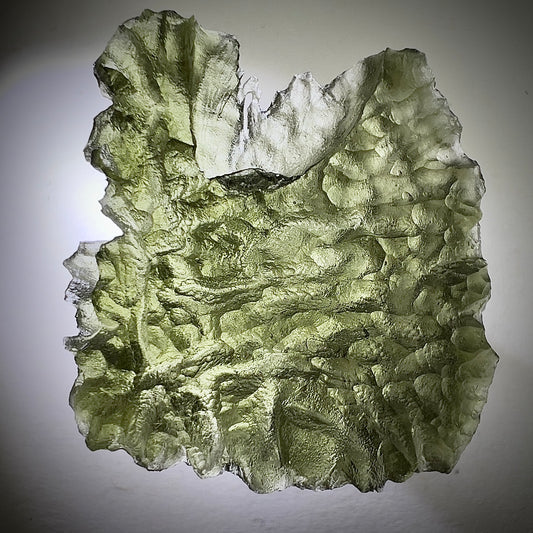 True Besednice Hedgehog | 6.98g | Besednice Ježkovna