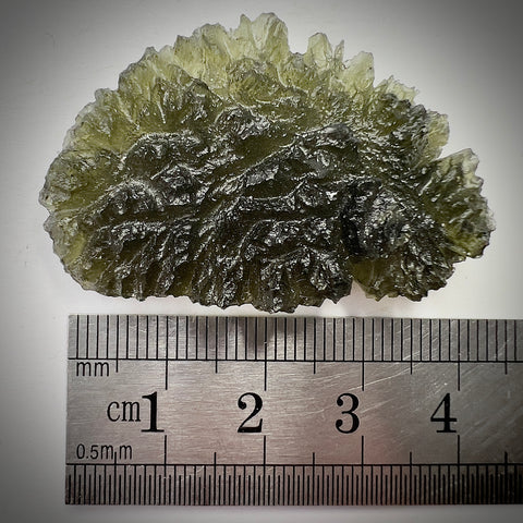 True Besednice Hedgehog | 8.78g | Besednice Ježkovna