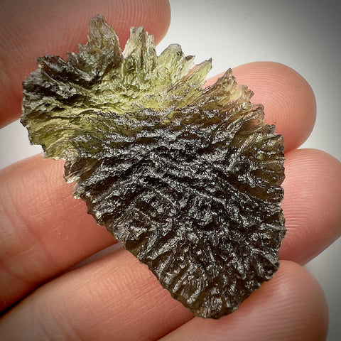 True Besednice Hedgehog | 8.78g | Besednice Ježkovna