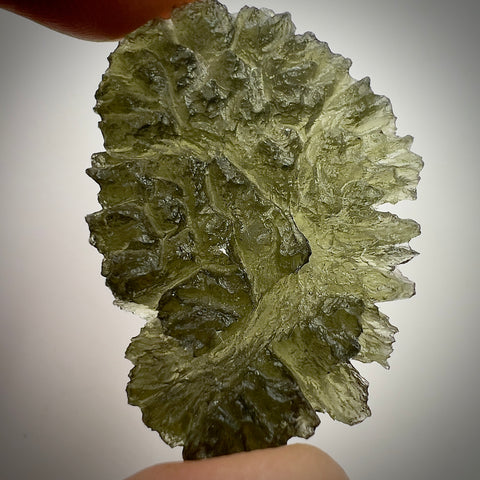 True Besednice Hedgehog | 8.78g | Besednice Ježkovna