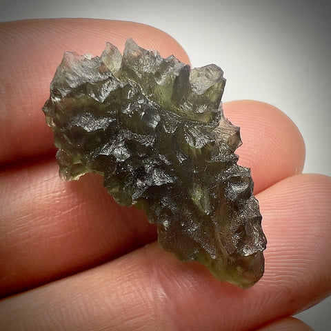 True Besednice Hedgehog | 5.86g | Besednice Ježkovna