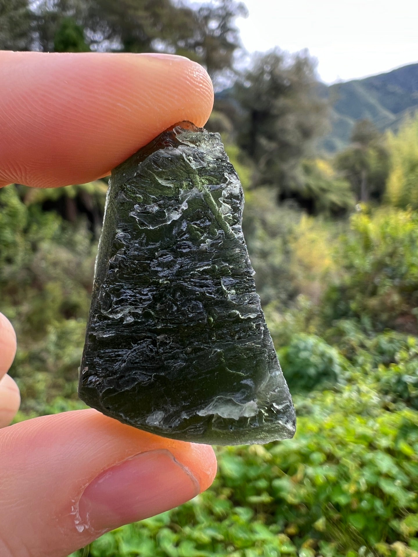 16.3g Moldavite