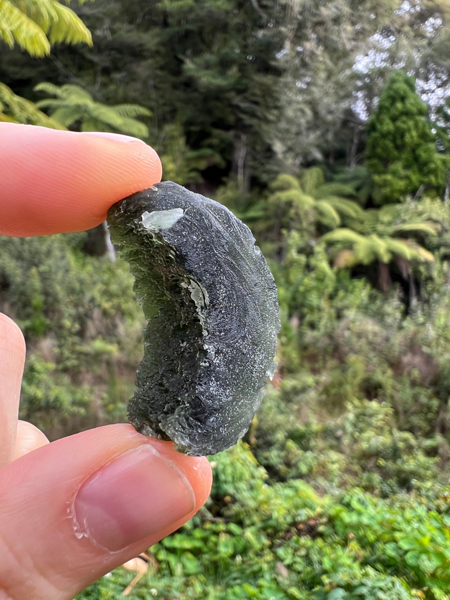 15.4g Moldavite