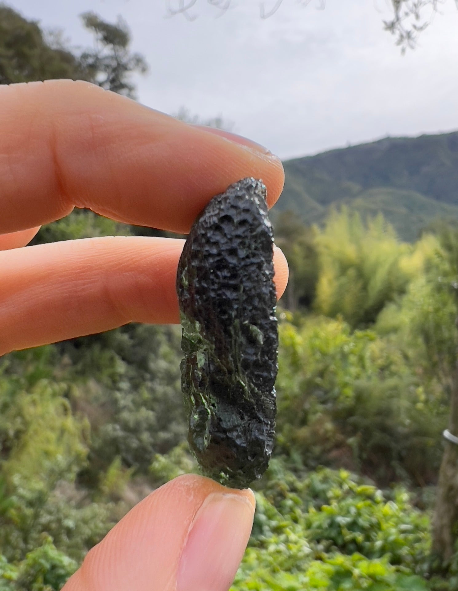 18.96g Moldavite