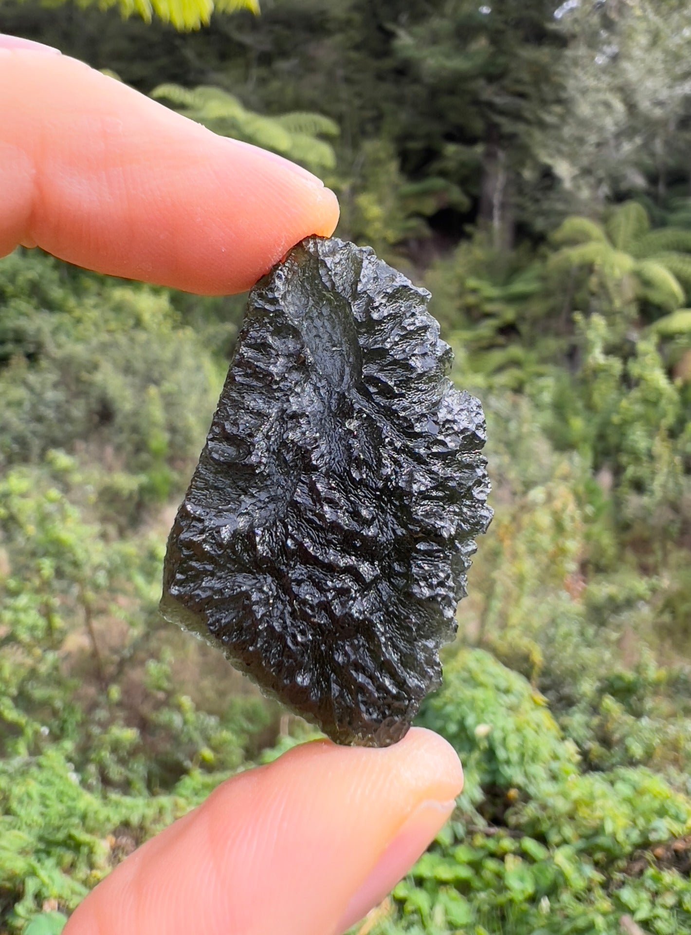 18.96g Moldavite