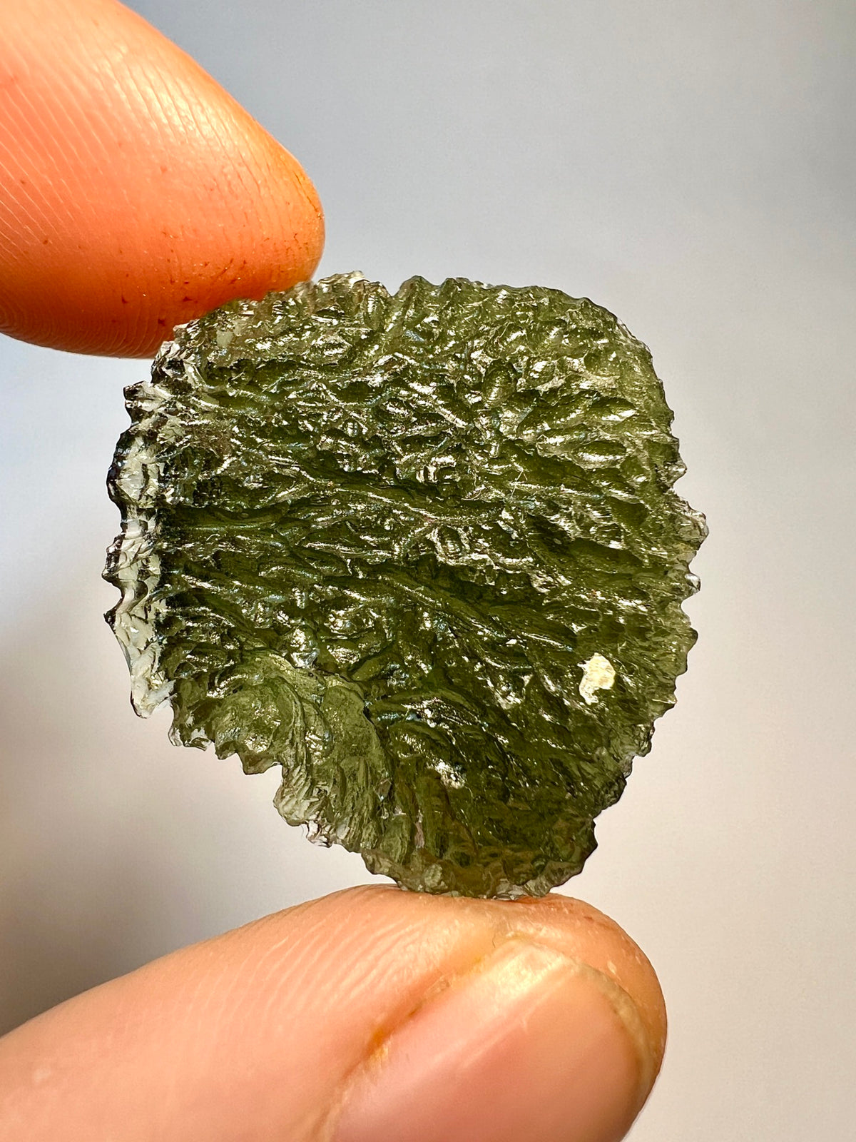 6.69g Moldavite