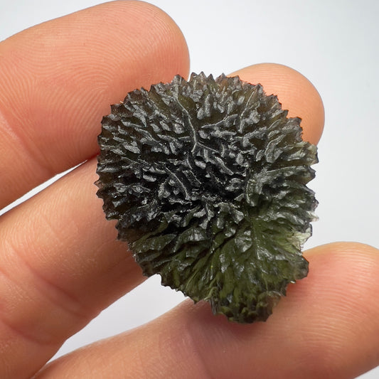 Nesmen Les Moldavite - 9.53g