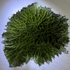 20.2g Maly Chlum Masterpiece Investment Moldavite.