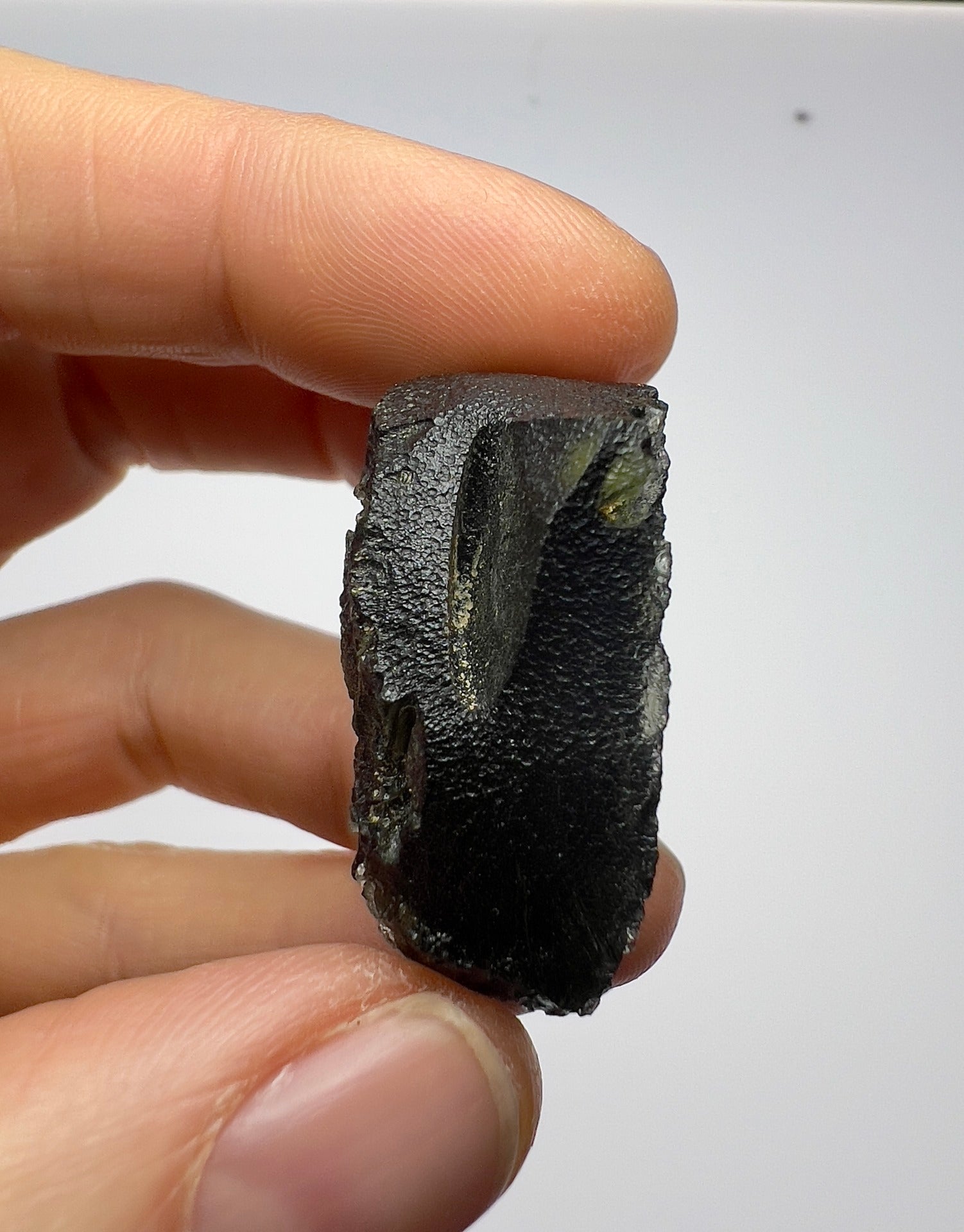 17.75g Moldavite