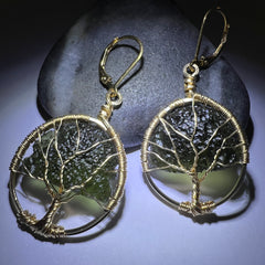 Tree of Tree Moldavite Earrings – 14k Gold