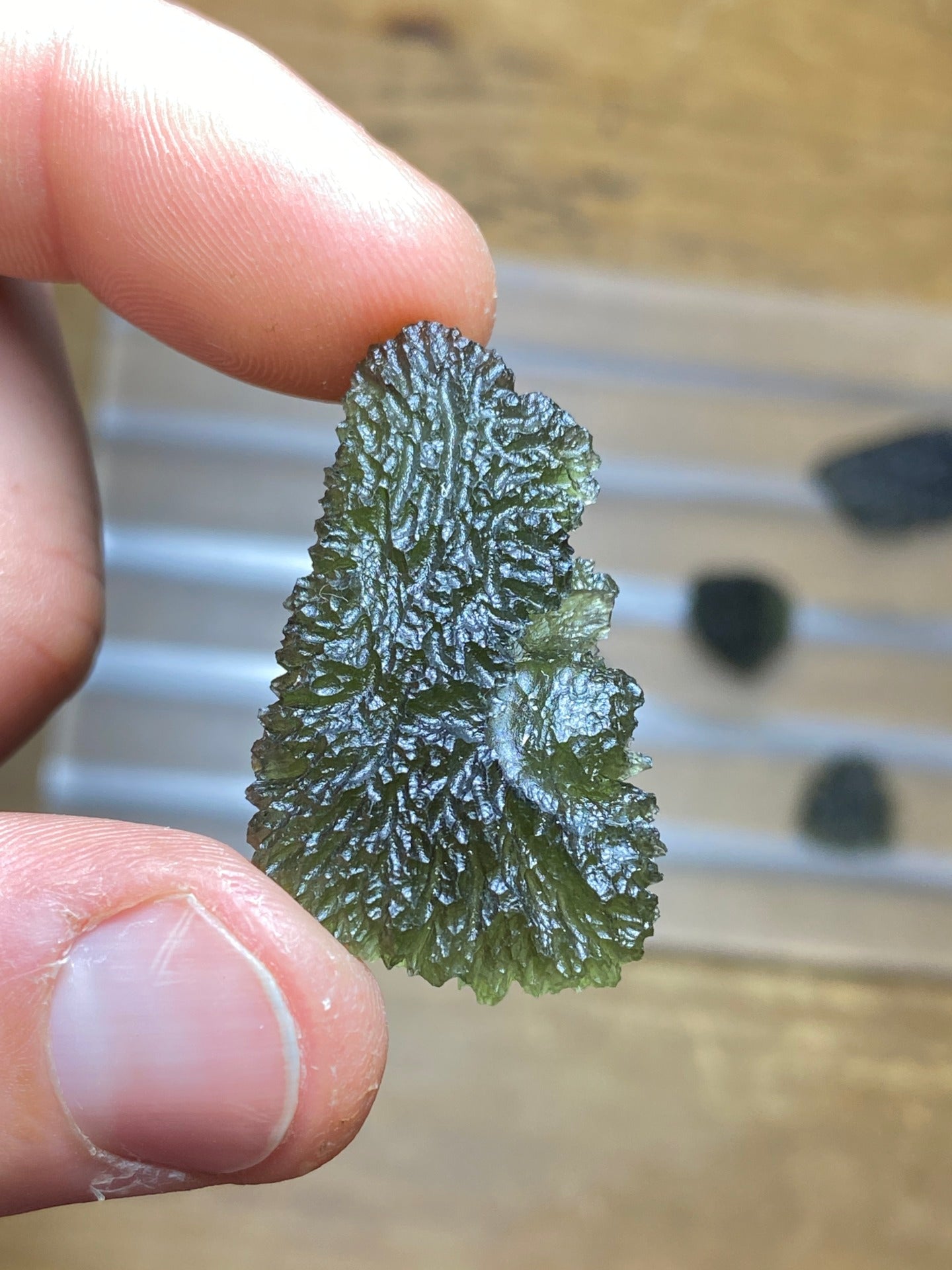 Moldavite from Nesmen Les, 7g.