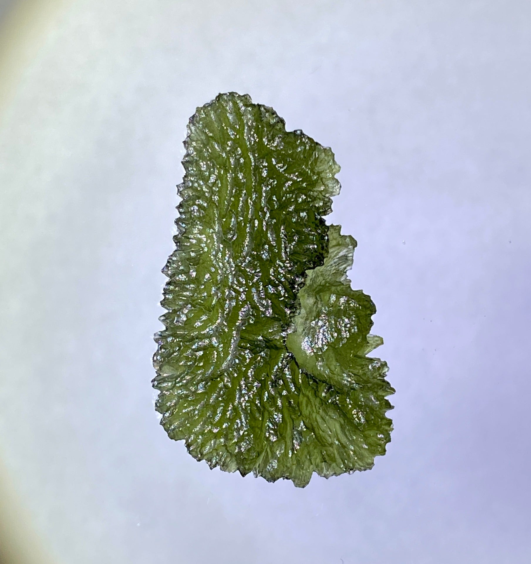 Moldavite from Nesmen Les, 7g.