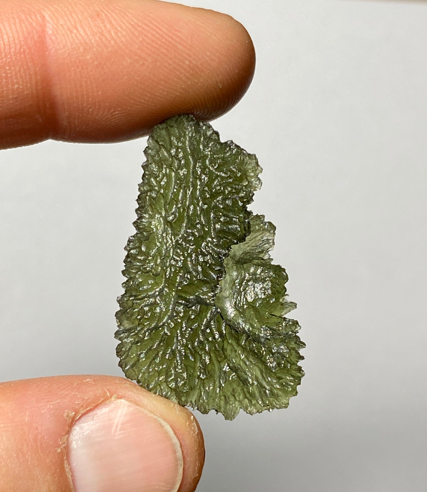 Moldavite from Nesmen Les, 7g.