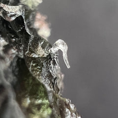 4.68g Moldavite with prominent Lechateliarite.