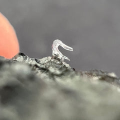 4.68g Moldavite with prominent Lechateliarite.