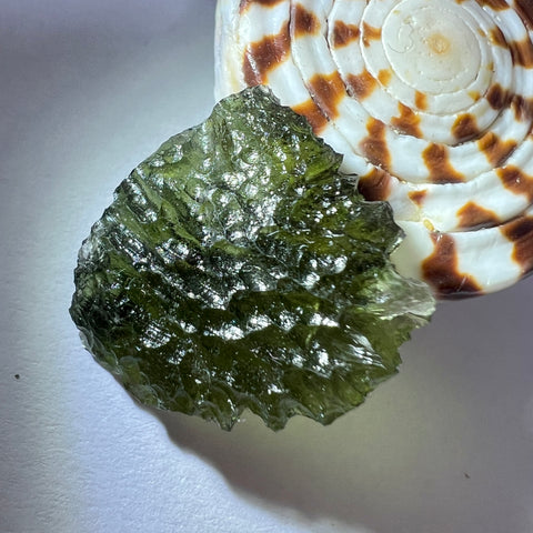 3.39g Marouskovo Pole Moldavite