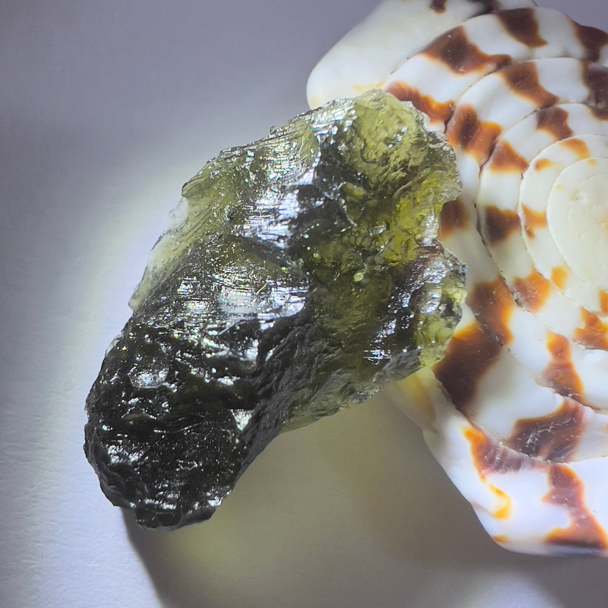 2.72g Marouskovo Pole Moldavite