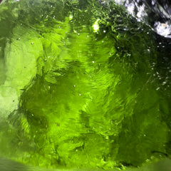 HUGE Moldavite specimen - Radomilice 36.95g