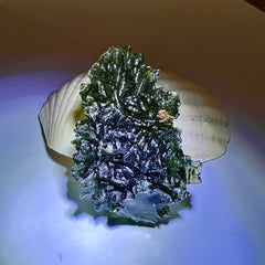 12.75g Moldavite