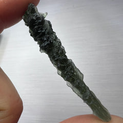 True Besednice Hedgehog - 6.69g.