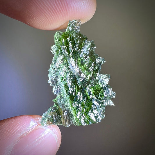 1.69g Moldavite