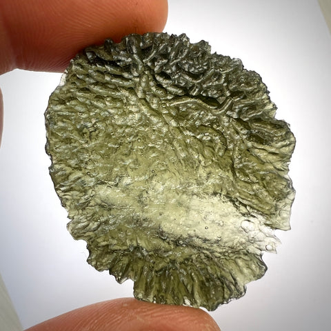 11.45g Maly Chlum "Flawless Angel Chime" Moldavite